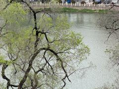 -南通濠河风景名胜区