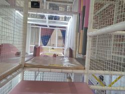 -奈尔宝家庭中心·亲子餐厅(华采天地店)