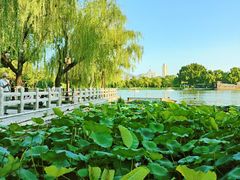 -济南大明湖景区
