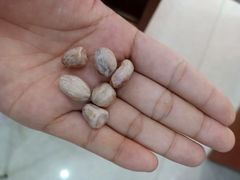 -家乐福(金观音店)