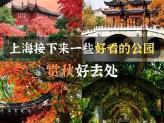 -秋霞圃