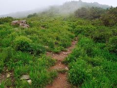 -妙峰山风景名胜区