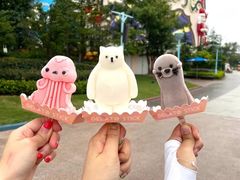 -上海海昌海洋公园