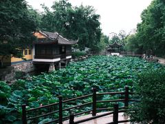 -范蠡湖公园