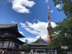 -东京塔海贼王主题公园
