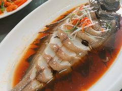 清蒸鲽鱼-金阁家常菜(贵阳路店)