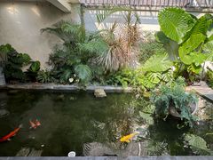 -漫笙舍Manse·咖啡·民宿