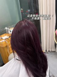 -禾里設計