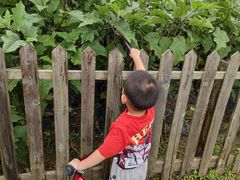 -前小桔亲子创意农场·草莓采摘·露营烧烤