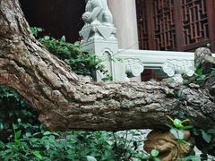 -龙华寺