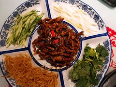 -吉祥春饼·烤鸭(国贸店)