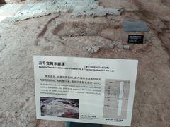 -南越王博物院(王宫展区)