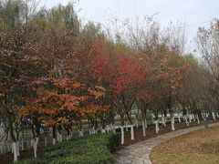 -白塘生态植物园