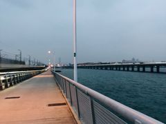 -海堤纪念公园