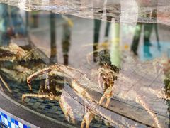 -顺德了能馆(虎门店)