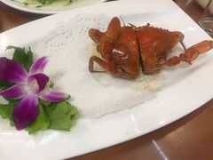 -友强·23年特色海鲜大排档(厦门店)