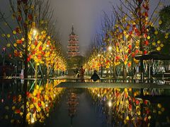 -龙华寺