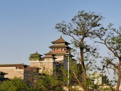 -莲花池公园
