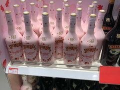 -班达拉奈克国际机场