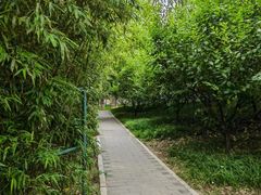 -丰台花园