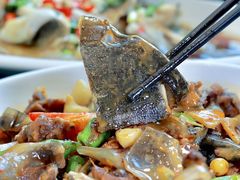 -丰乐餐厅·始于1999·本地老字号