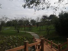 -凤凰沟景区