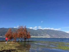 -苍山世界地质公园·石门关大峡谷