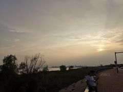 -合肥滨湖国家森林公园