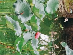 -Club Med地中海俱乐部·桂林度假村