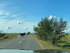 -呼和诺尔旅游景区