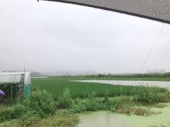 -米果果小镇