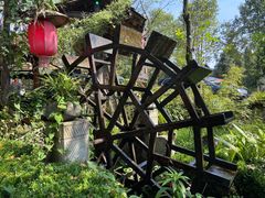 -青城甲(青城山店)