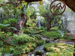 -Chom Cafe and Restaurant