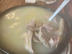药膳乳鸽-富哥食店