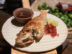 金吉鱼-三川·十酒Izakaya(南昌路店)