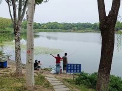 -北坞公园
