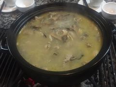 -蘑统田下·野生菌火锅