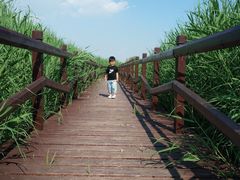 -西青郊野公园