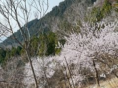 -北京十三陵国家森林公园蟒山景区