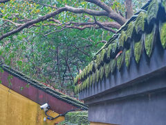 -慧因高丽寺