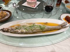 清蒸鲥鱼-金枝玉叶上海人家食府(三里河店)