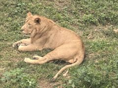 -石家庄市动物园