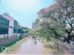 -青果巷历史文化街区