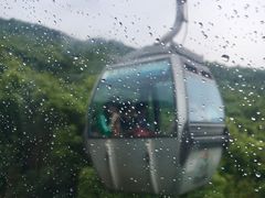 -普陀山风景区-佛顶山