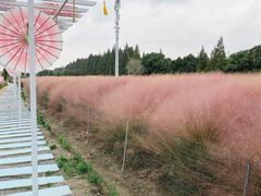 -嘉北郊野公园