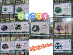 -苏州太湖国家湿地公园