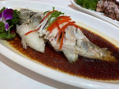 -小贝壳酒楼(经九路店)