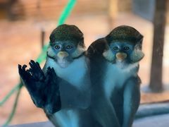 -南京金牛湖风景区