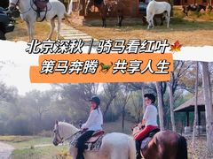 -丹世红酒庄·烧烤·团建·婚礼·水上运动