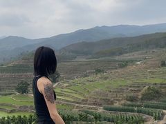 -牙胡梯田